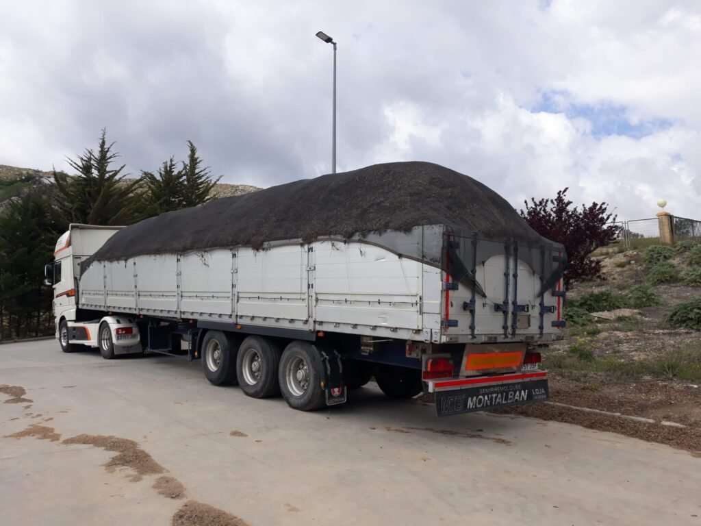 whatsapp image 2026 01 08 at 21.37.38